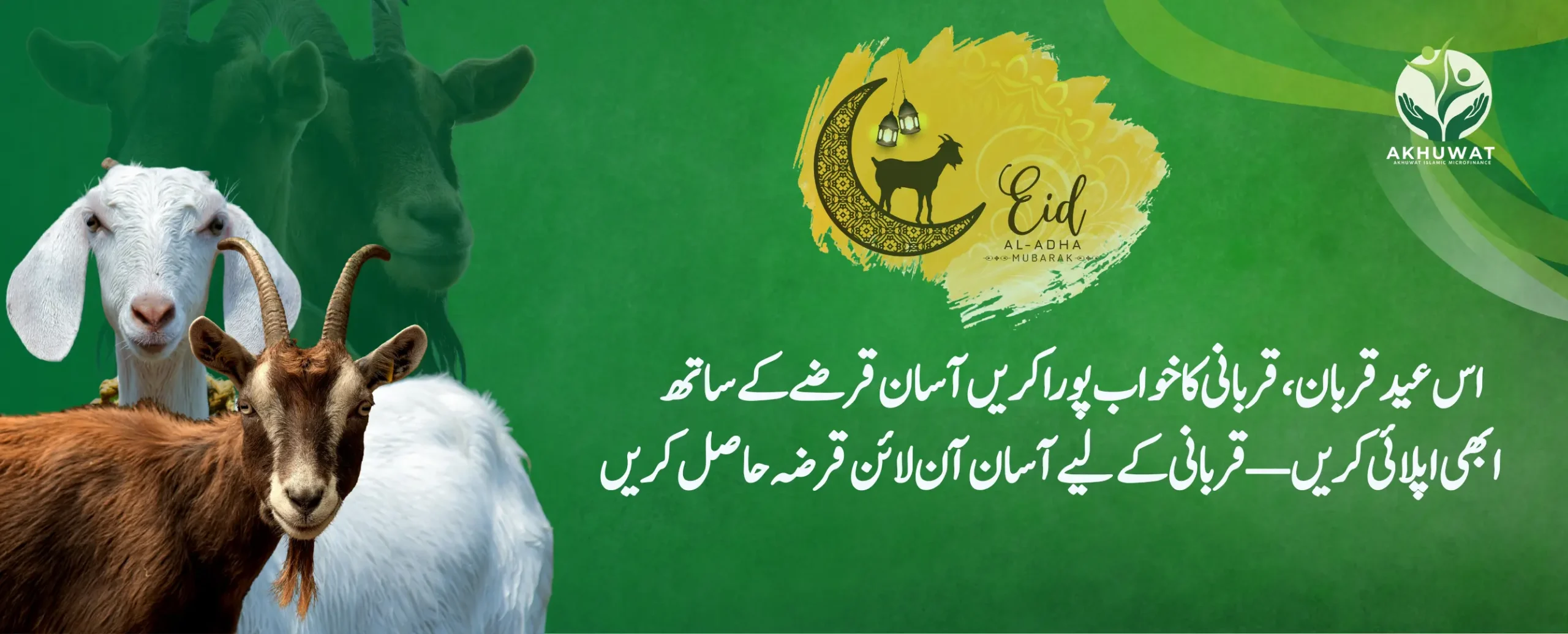qurbani (1)
